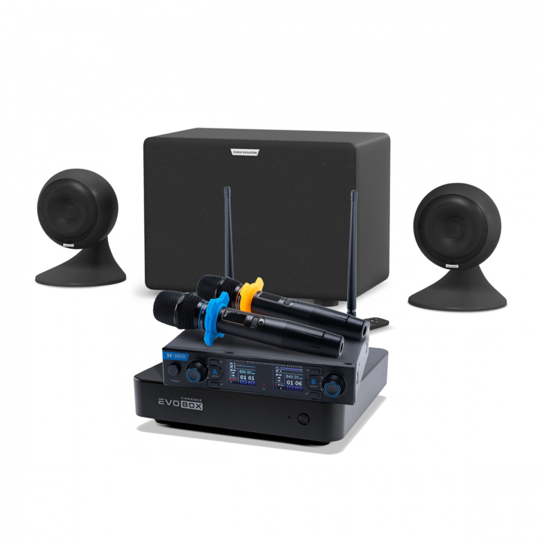 караоке-комплект EVOBOX + EvoSound Sphere 2.1 в Реутове