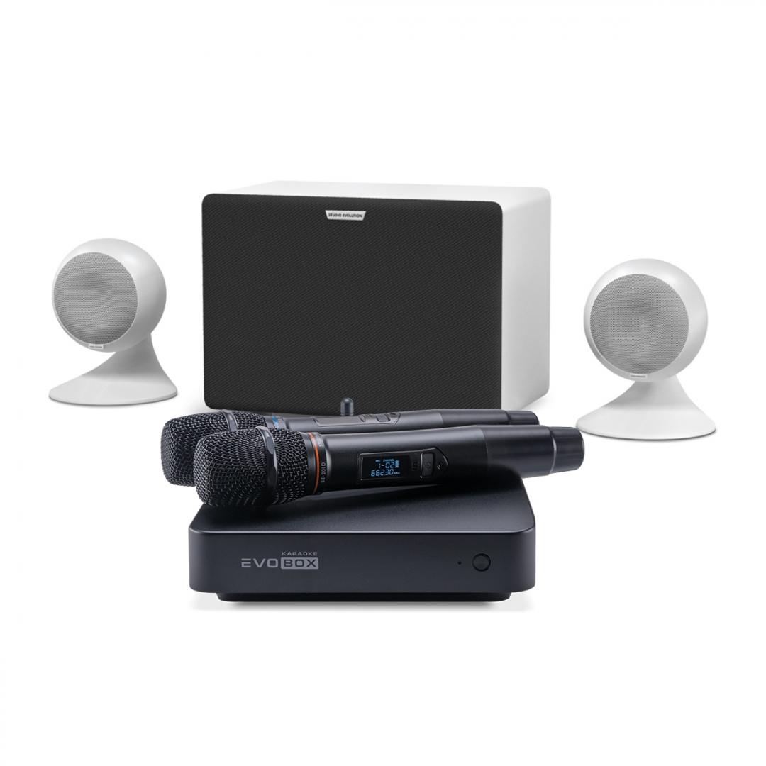 караоке-комплект EVOBOX Classic + EvoSound Sphere 2.1 в Реутове