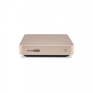 EVOBOX с микрофонами в Реутове